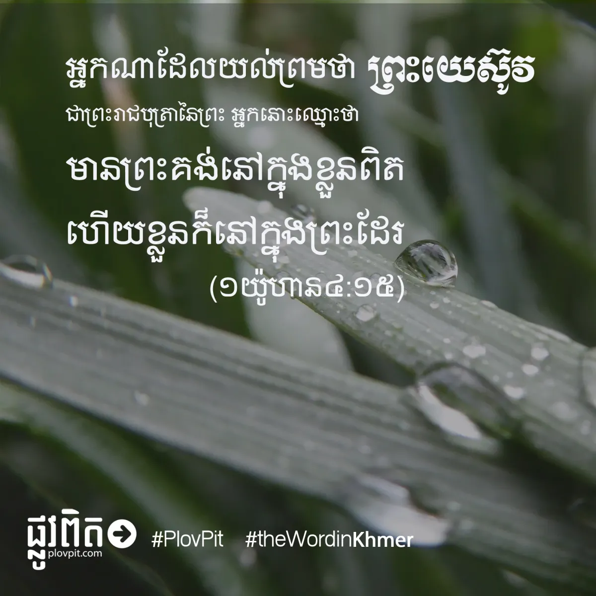 អ្នកណាដែលយល់ព្រម