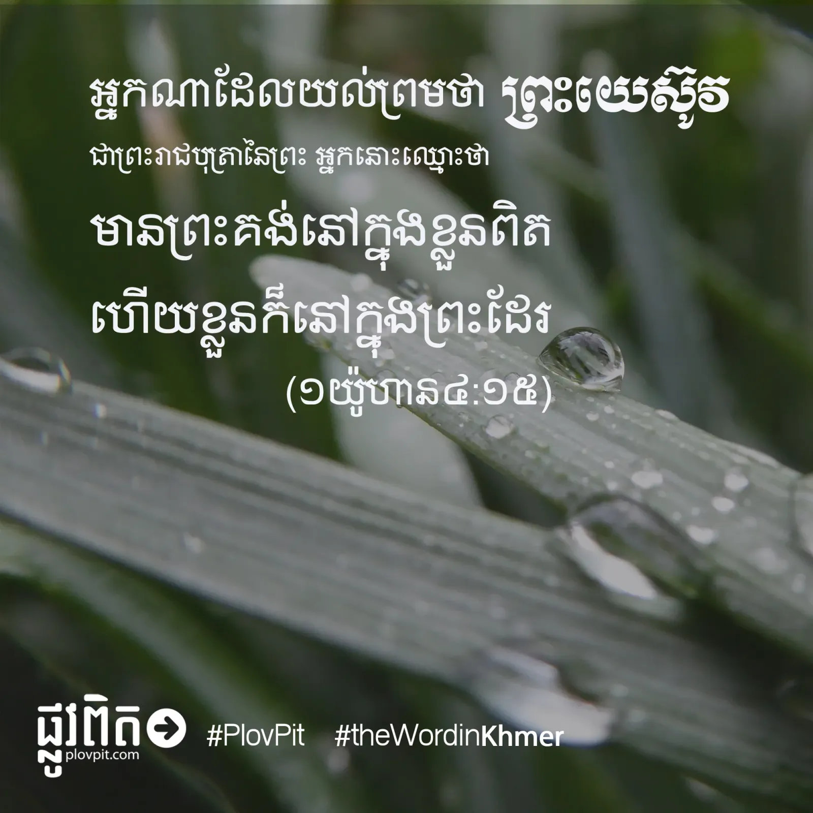 អ្នក​ណា​ដែល​យល់​ព្រម​