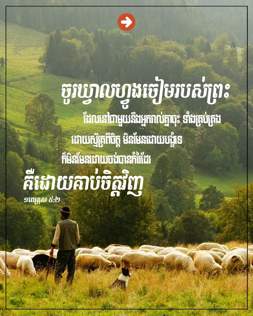 ចូរ​ឃ្វាល​ហ្វូង​ចៀមរបស់​ព្រះ