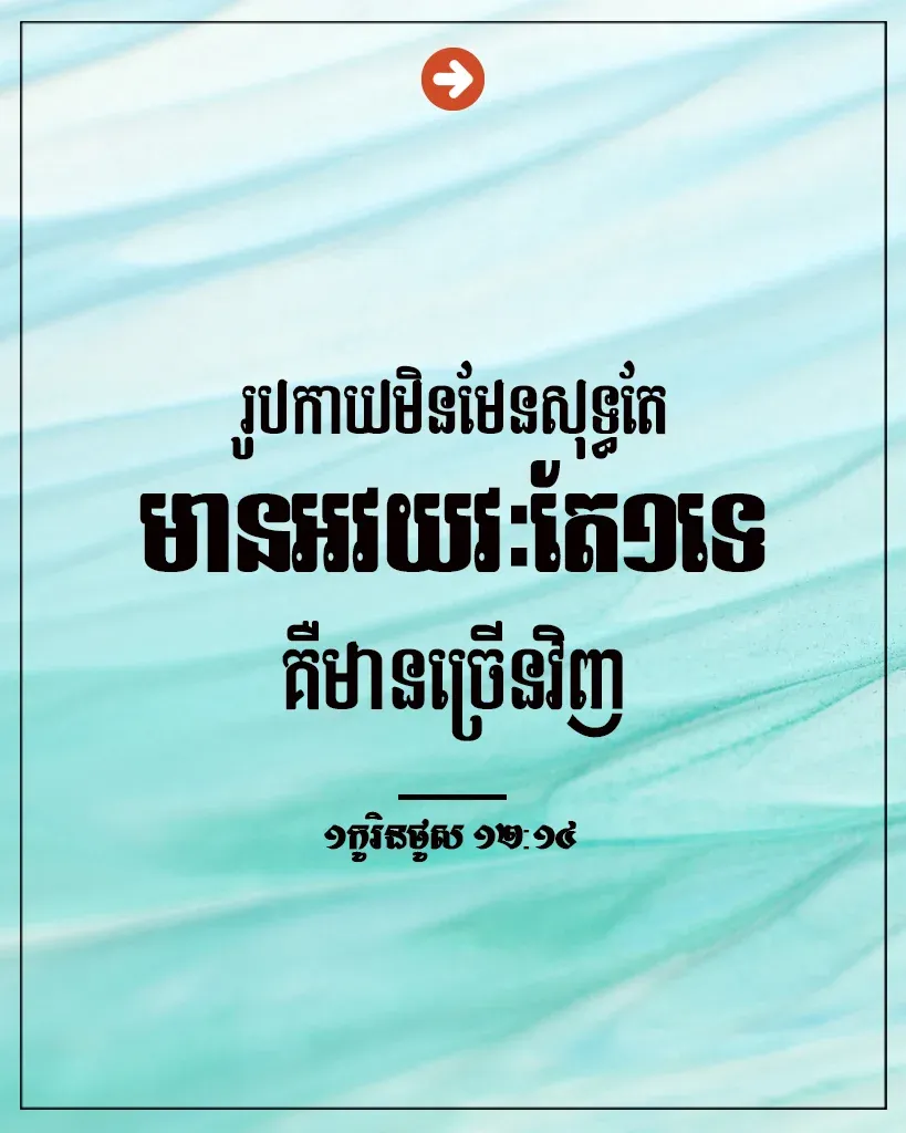 សុទ្ធ​តែ​មាន​អវយវៈ​តែ​១
