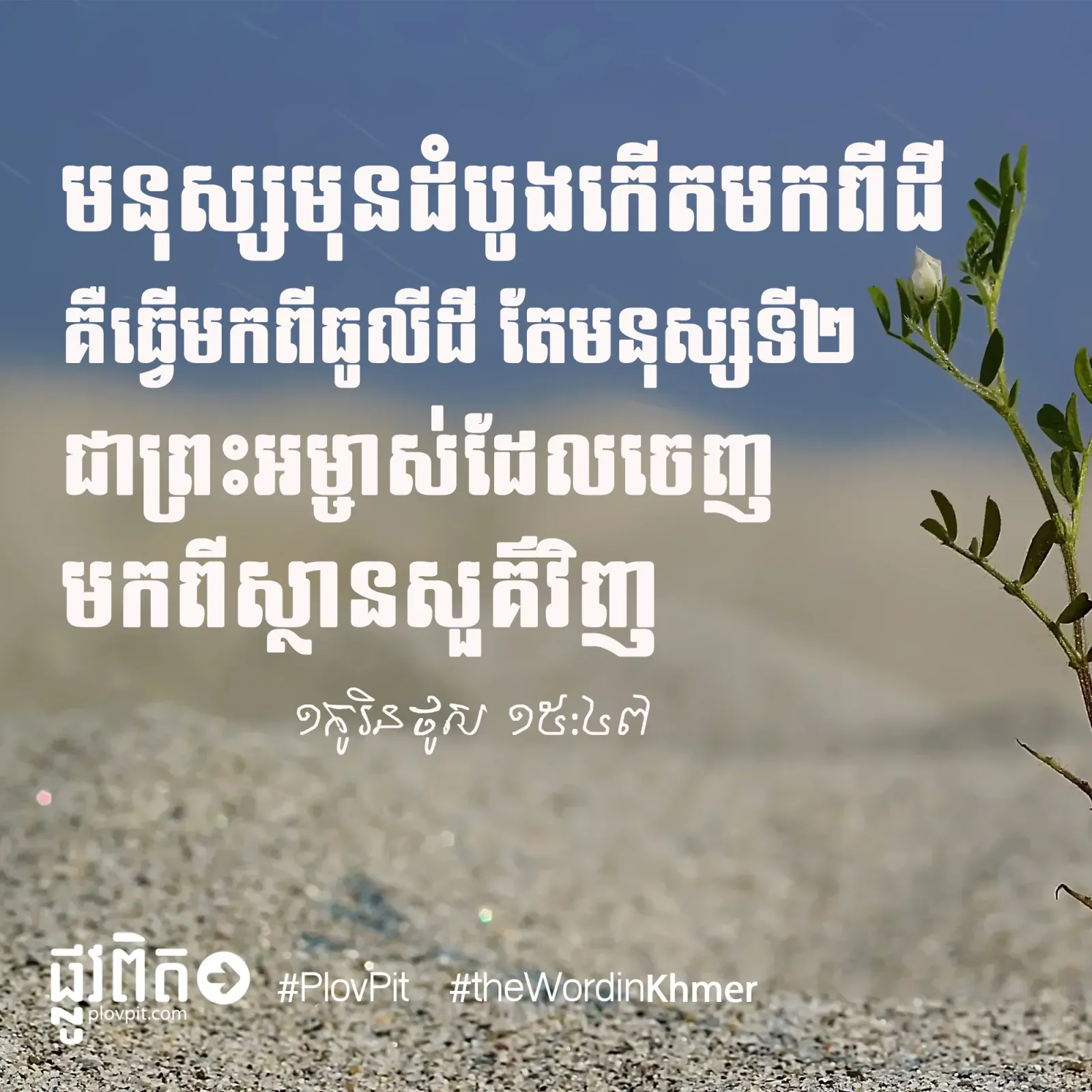 មនុស្ស