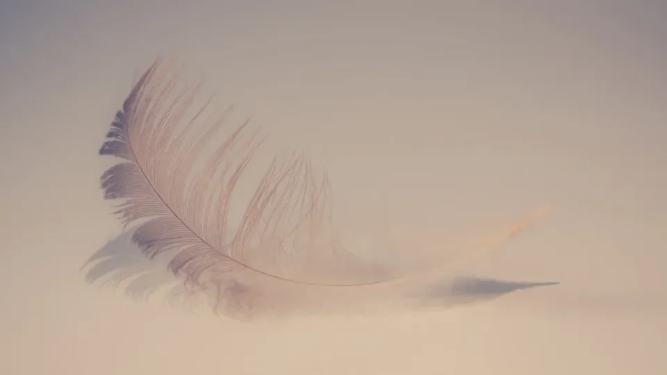 ភ្លក់ឲ្យ​ដឹង