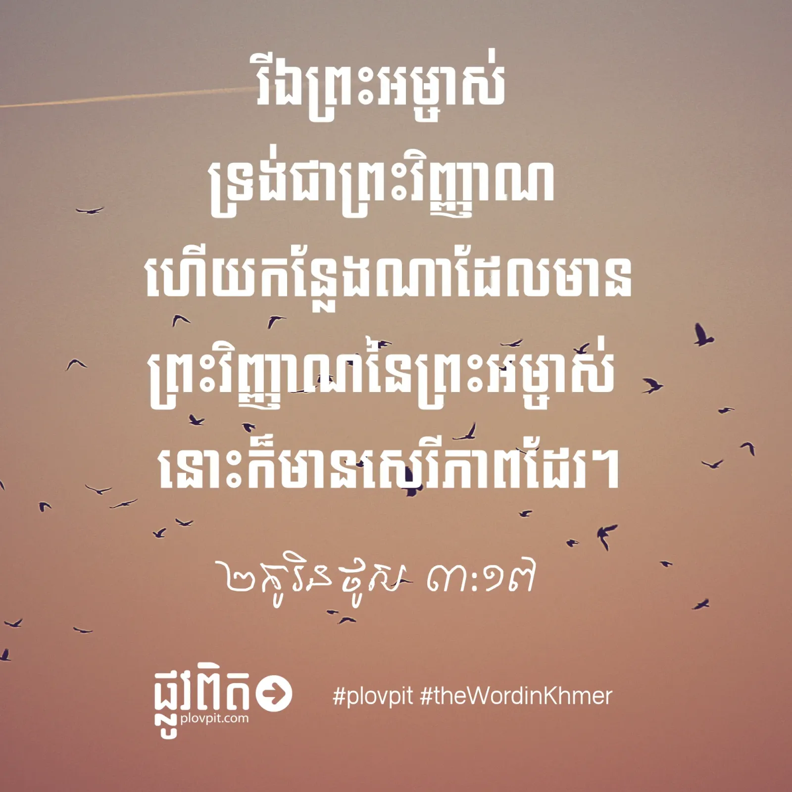 តើ​កន្លែង​ណា​មាន​សេរីភាព?