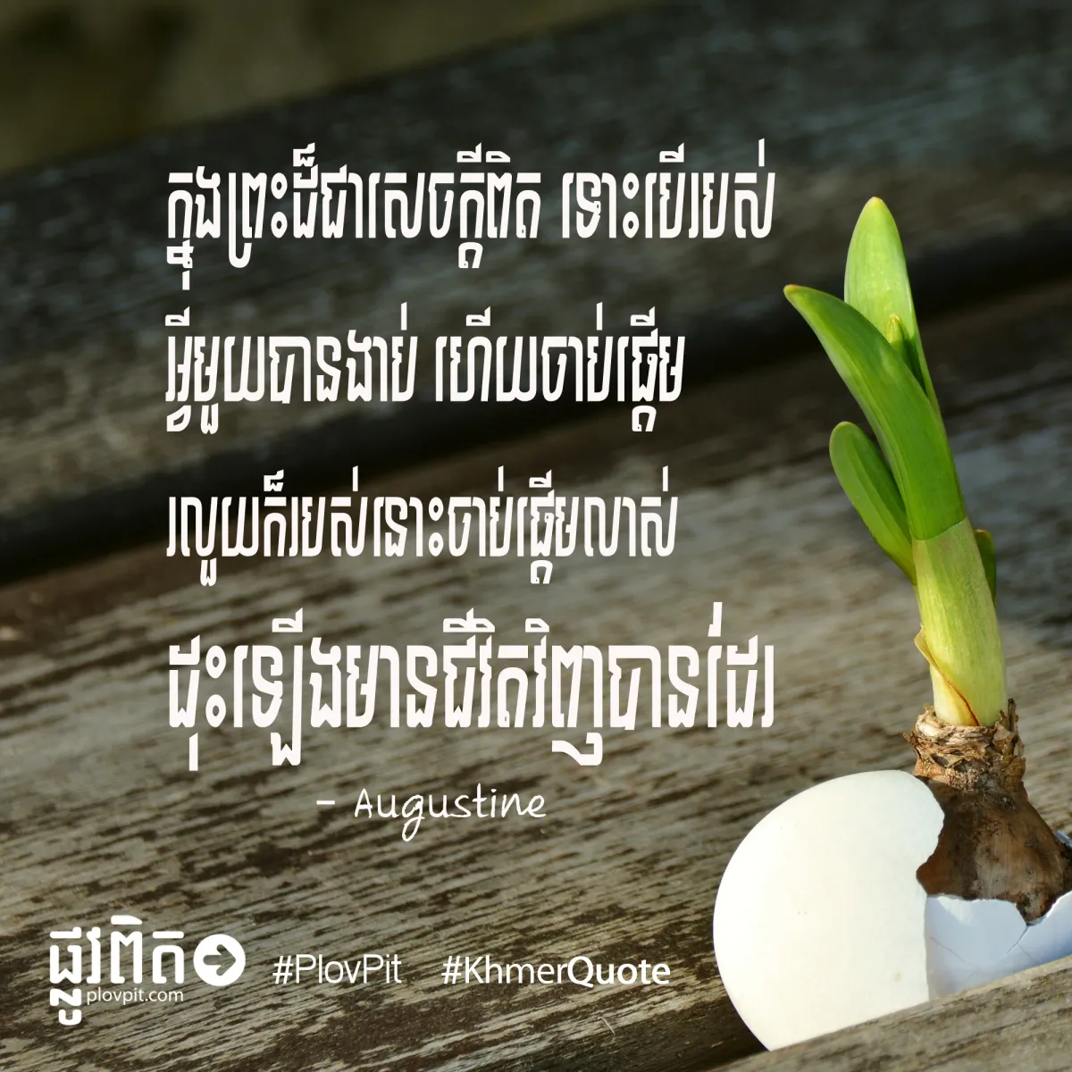 មានជីវិតឡើងវិញ