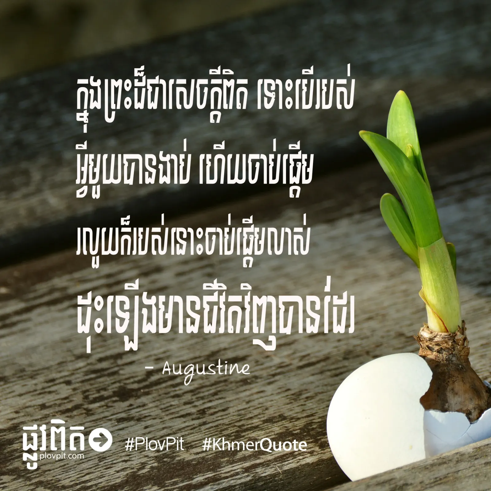 មាន​ជីវិត​ឡើង​វិញ