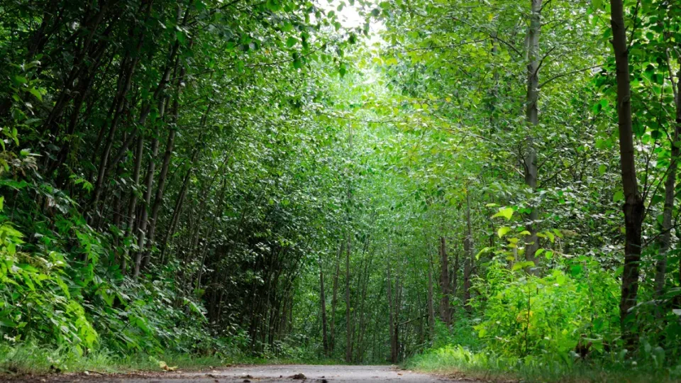 កាន់តែ​ចំណាយ​ពេល