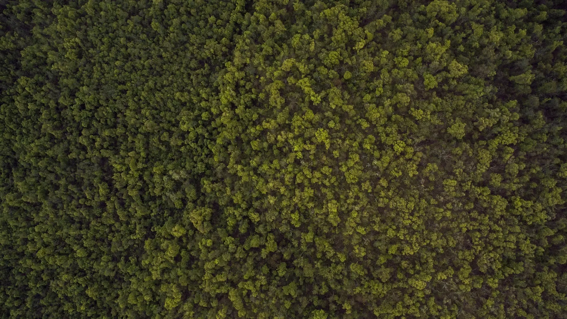 ​តាម​រយៈ​ព្រះ​គុណ​ដោយ​ជំនឿ