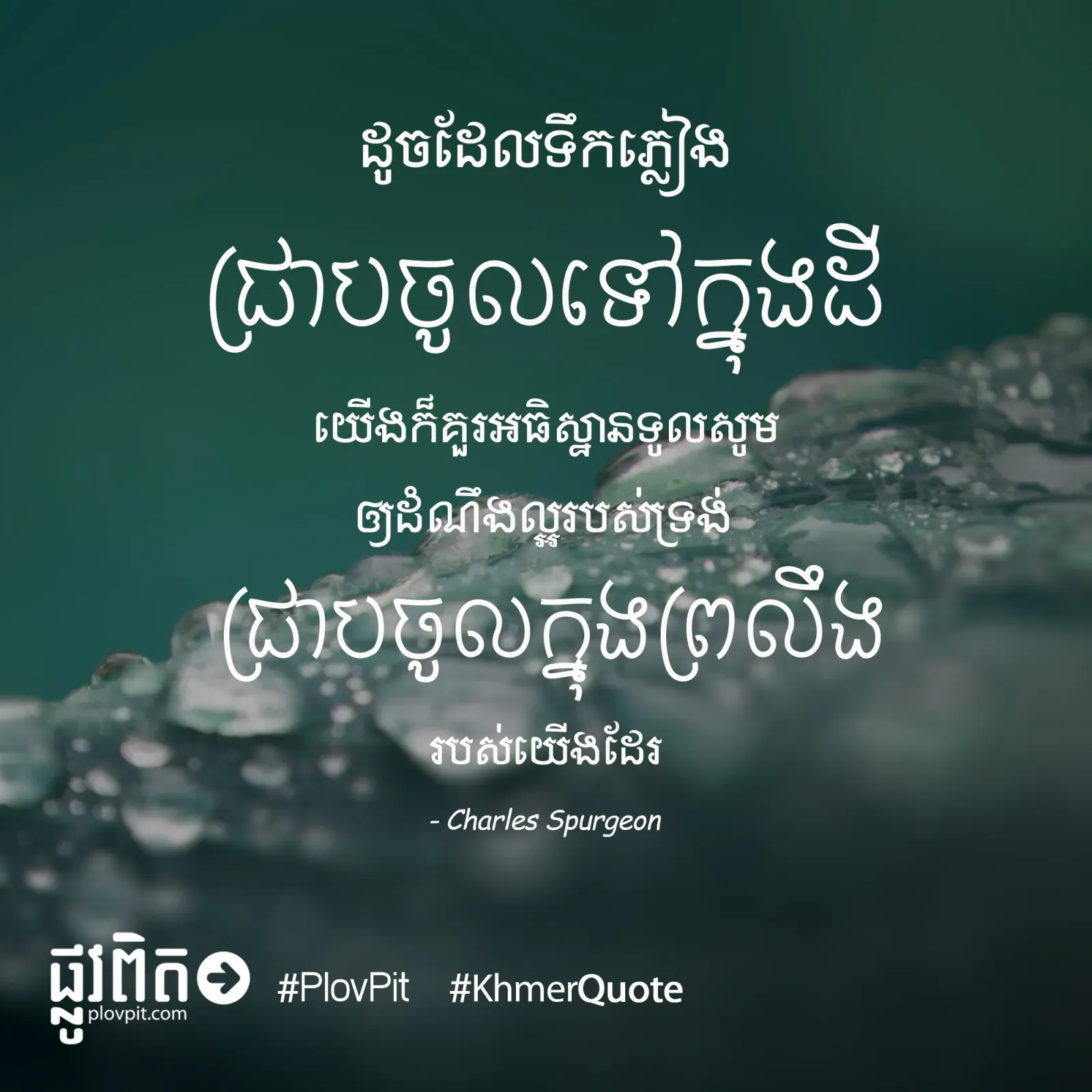 ទឹកភ្លៀងជ្រាប