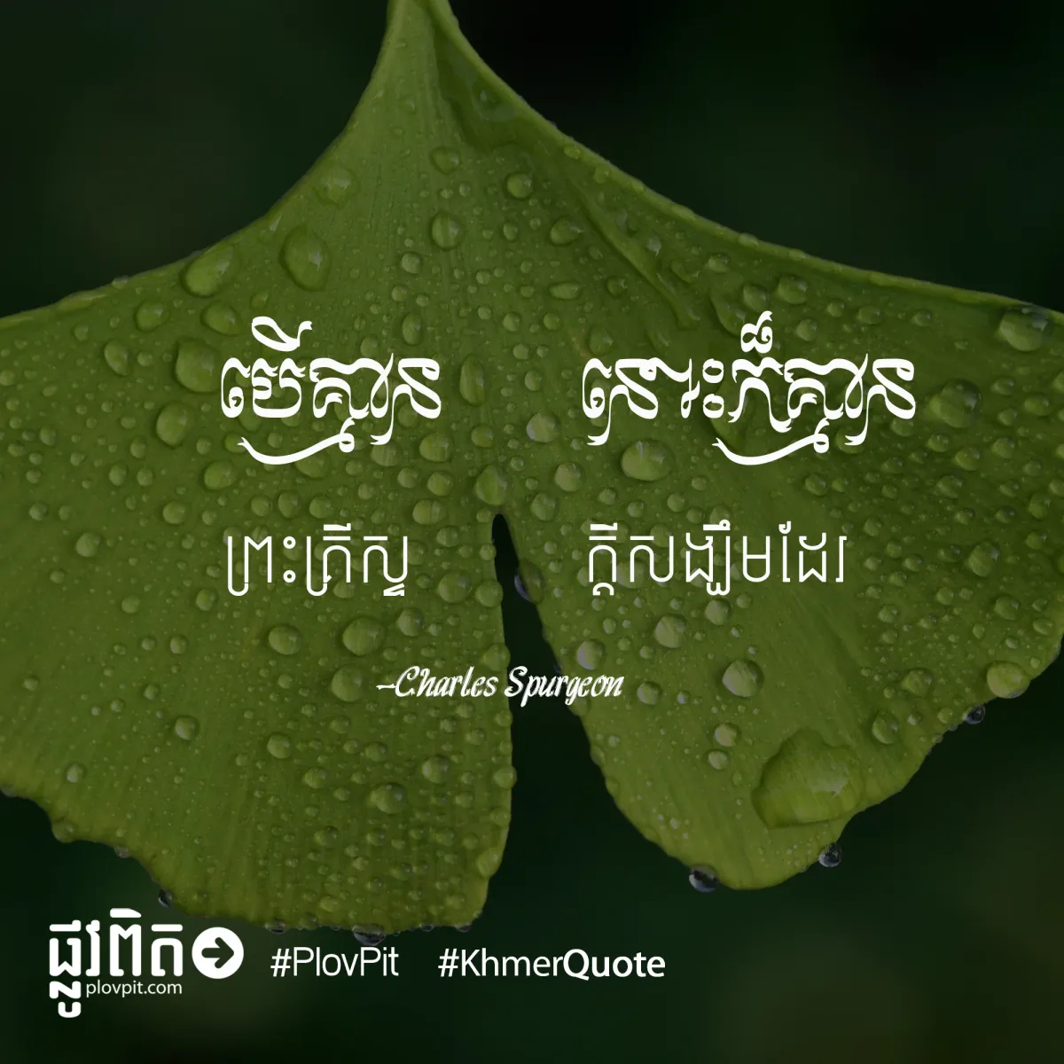 គ្មានក្ដីសង្ឃឹម