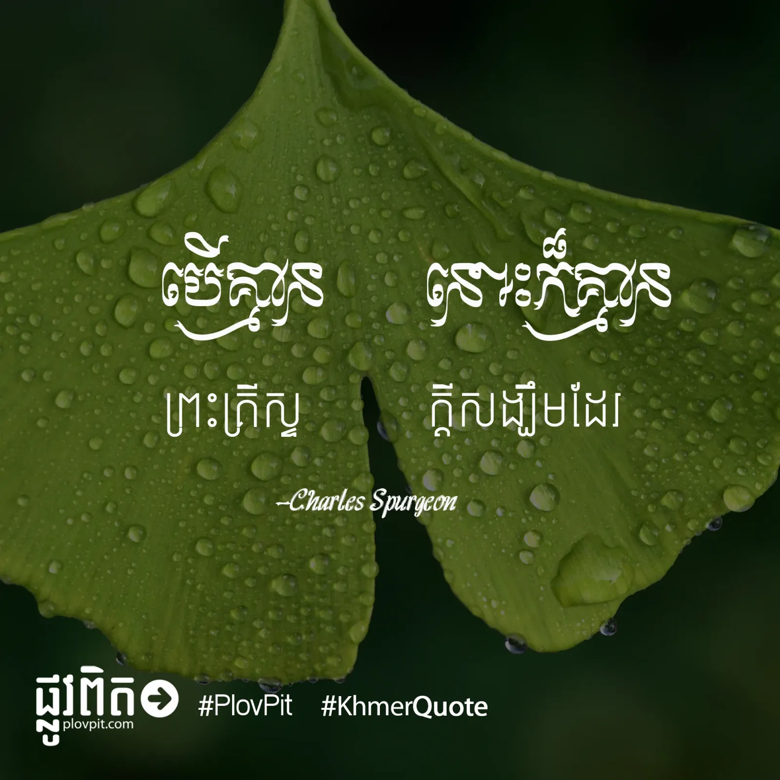 គ្មាន​ក្ដី​សង្ឃឹម