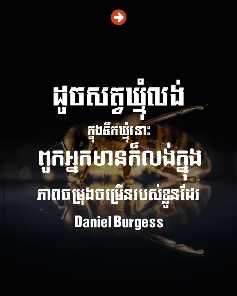 អ្នកមានក៏លង់ក្នុងភាពចម្រុងចម្រើន