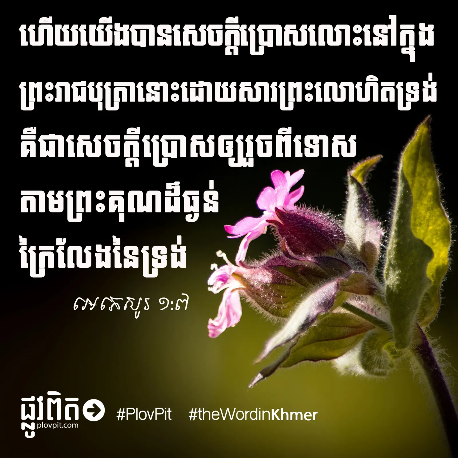 សេចក្ដី​ប្រោស​លោះ