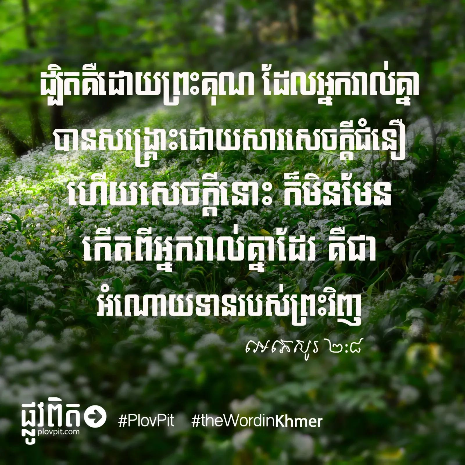 ព្រះ​គុណ​សង្គ្រោះ