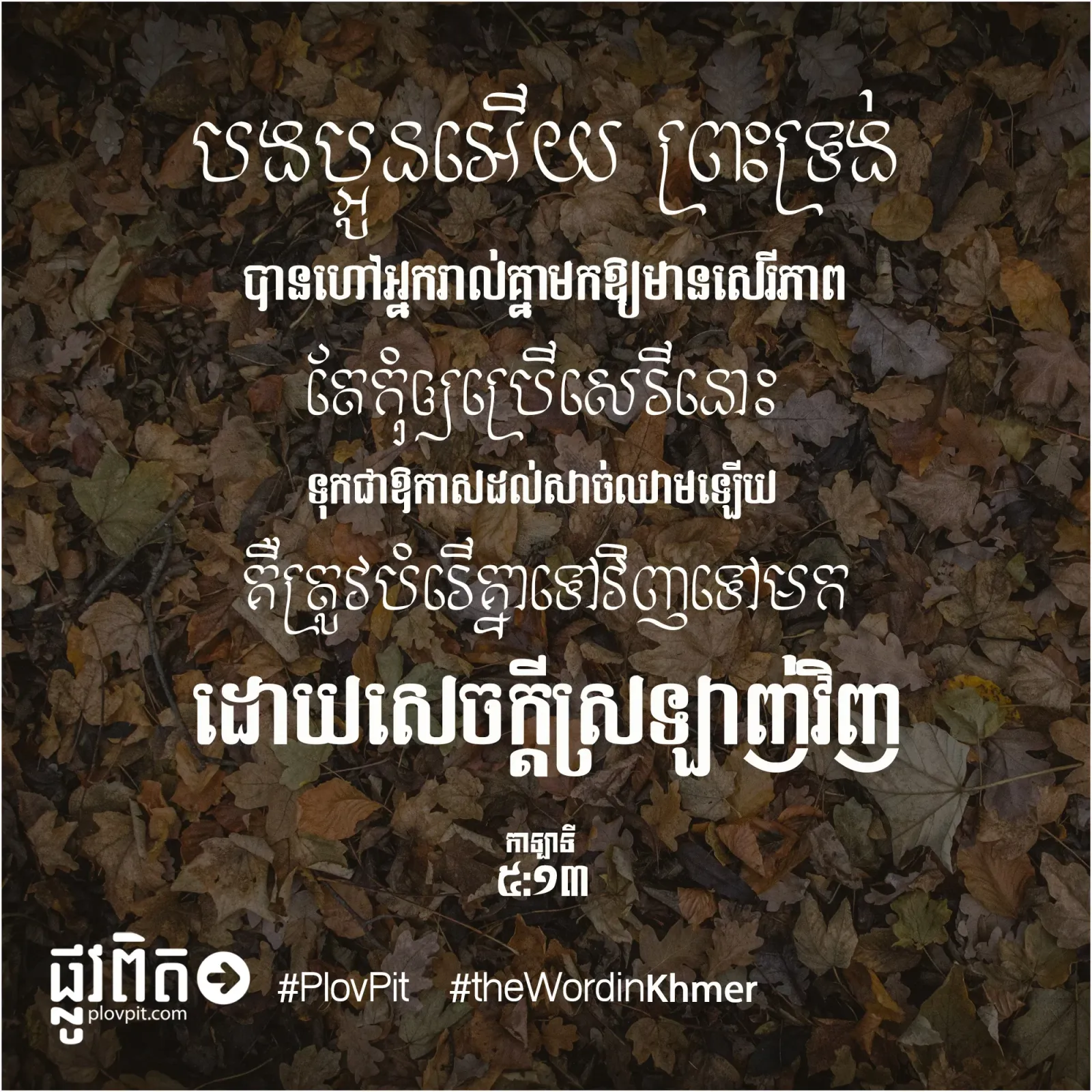 សេចក្តីស្រឡាញ់វិញ