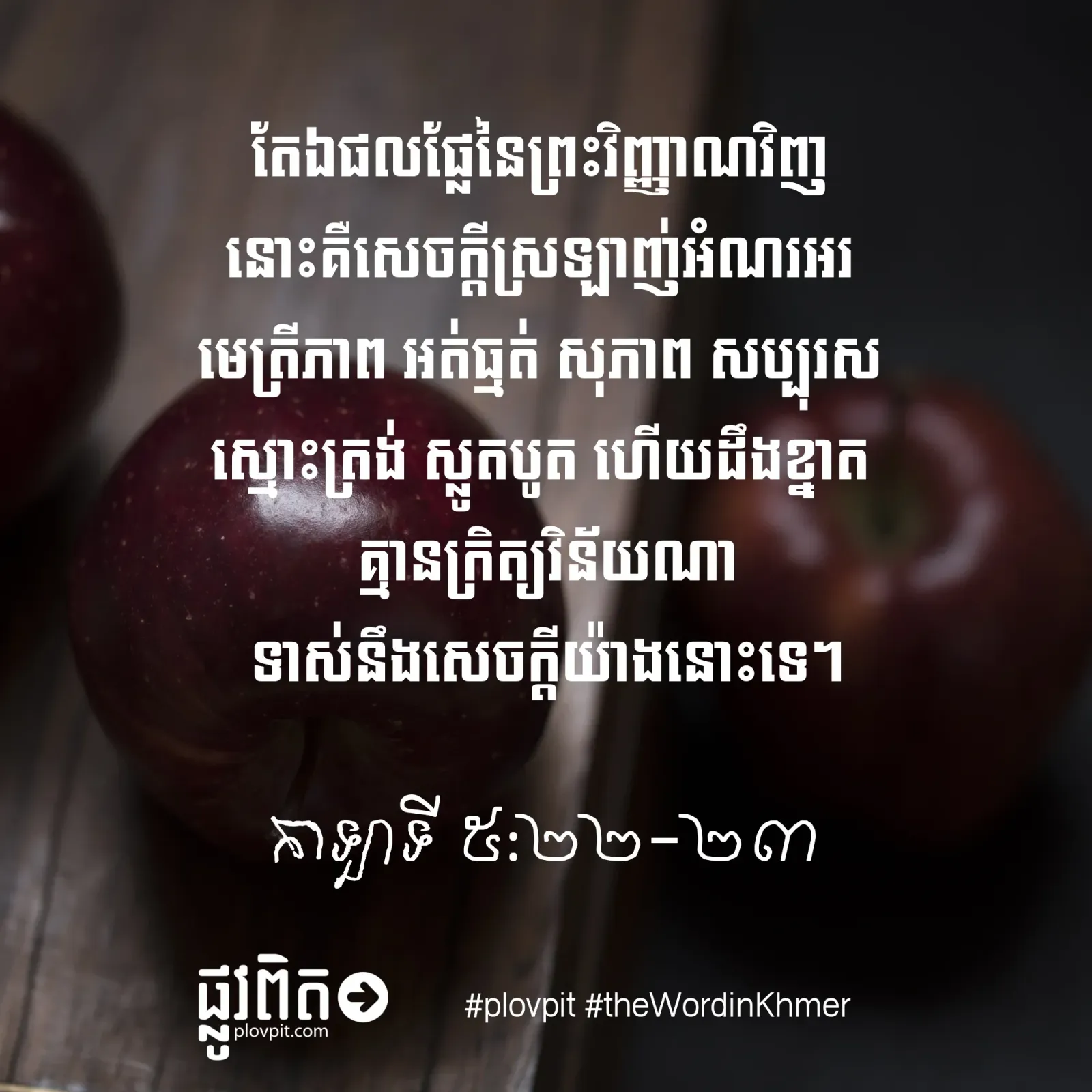 តើ​អ្វី​ទៅ​ជា​ផល​ផ្លែ​នៃ​ព្រះ​វិញ្ញាណ?