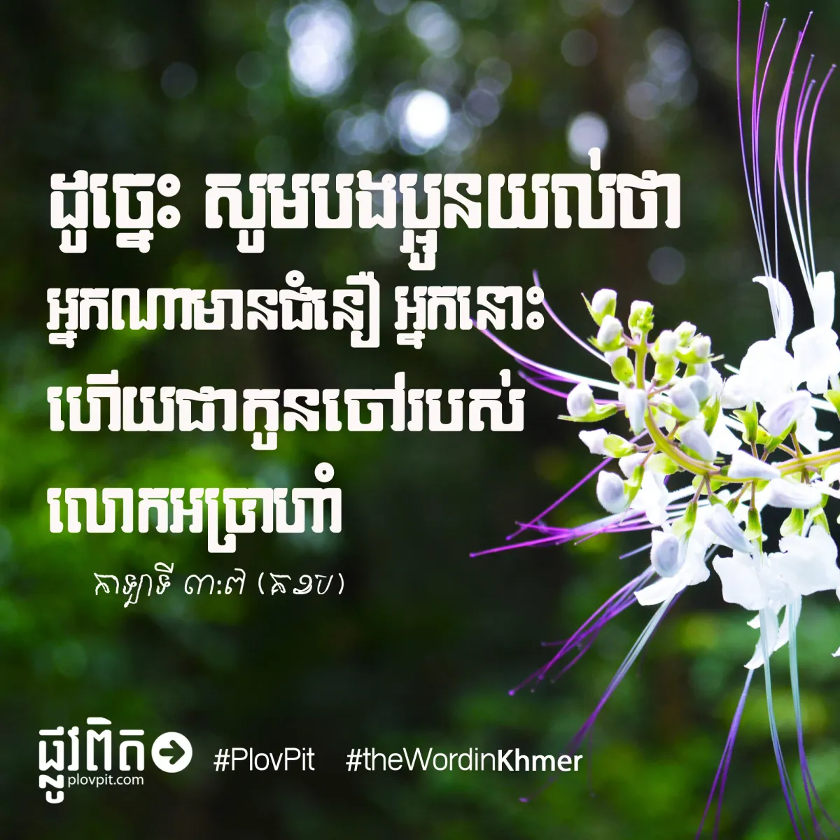 កូនចៅ