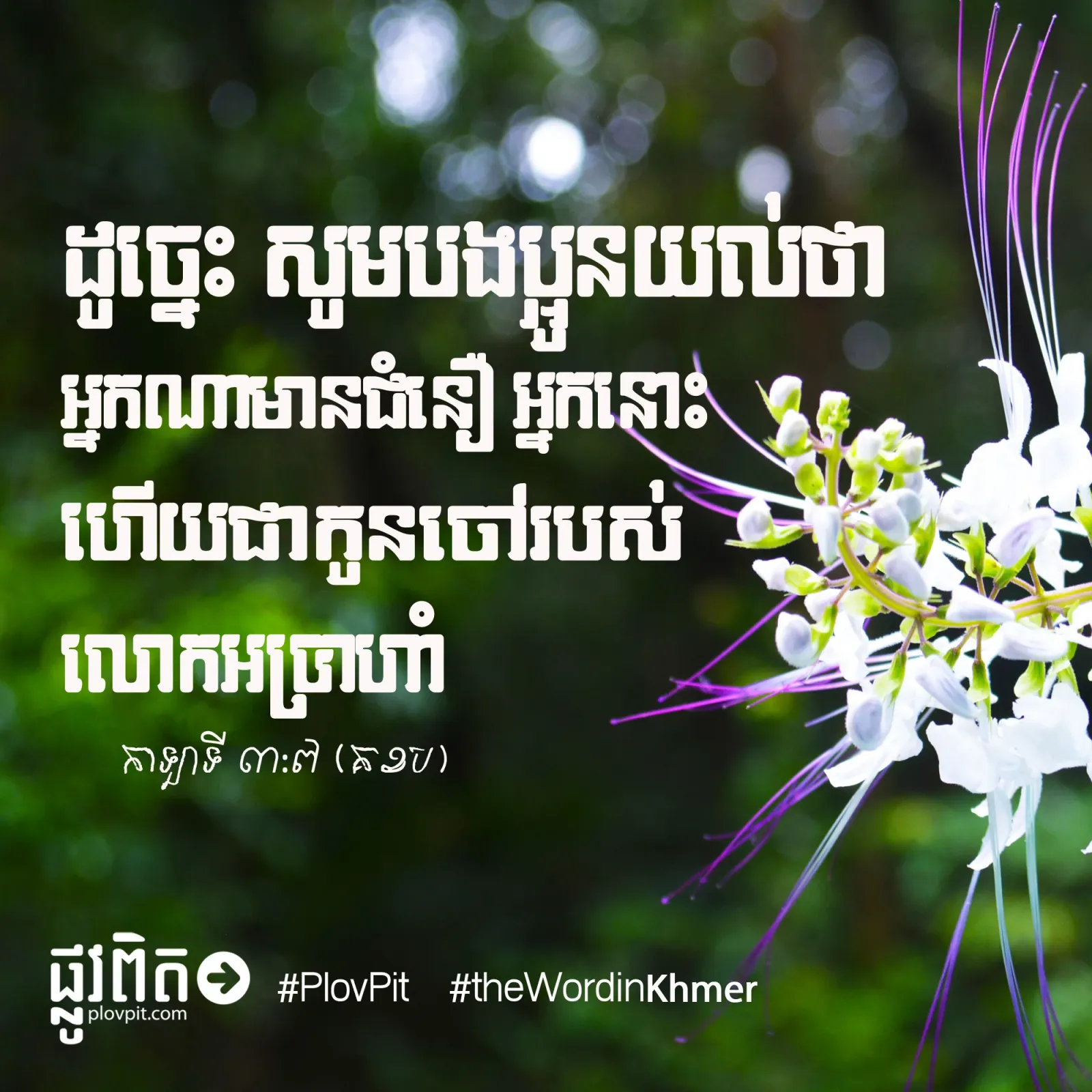 កូនចៅ