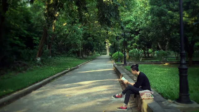 ការកាត់ស្រាយ