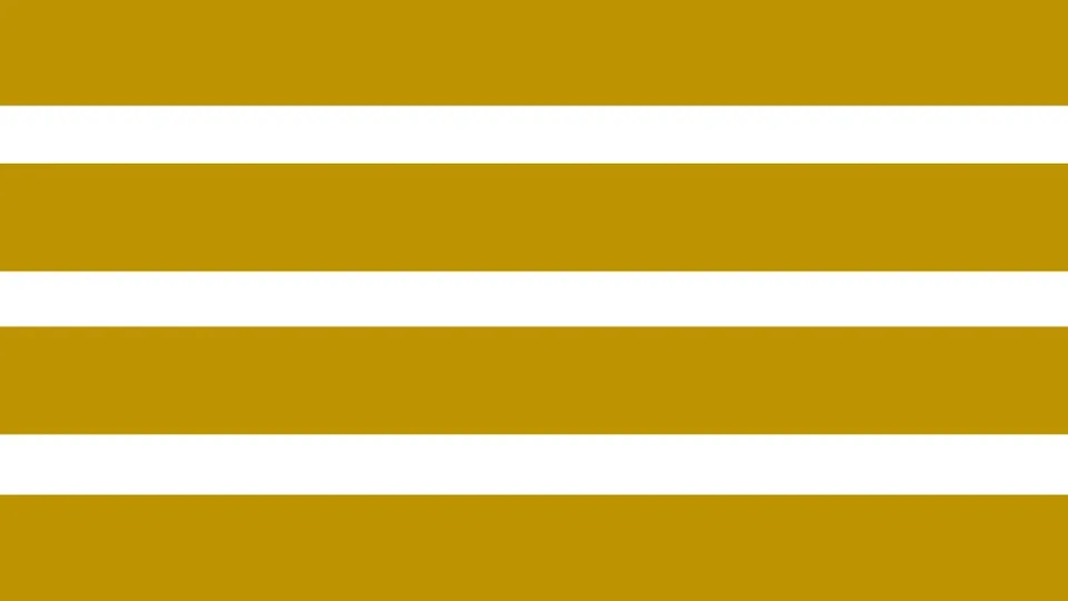 ស្ដាយក្រោយ