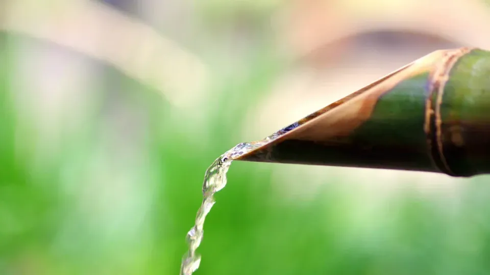 ការ​រំដោះ