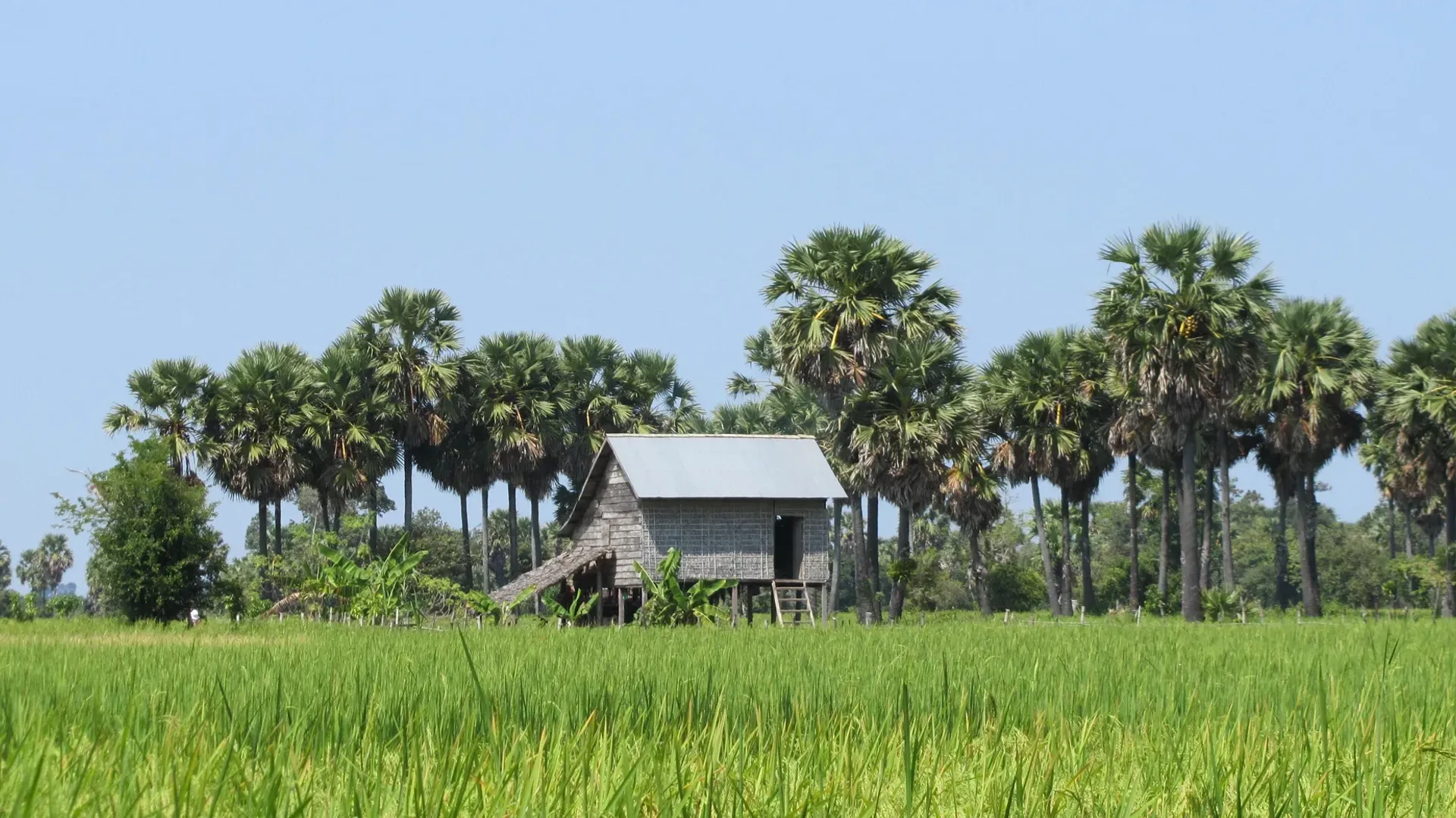 ​គ្រប់​ទាំង​ផ្ទះ