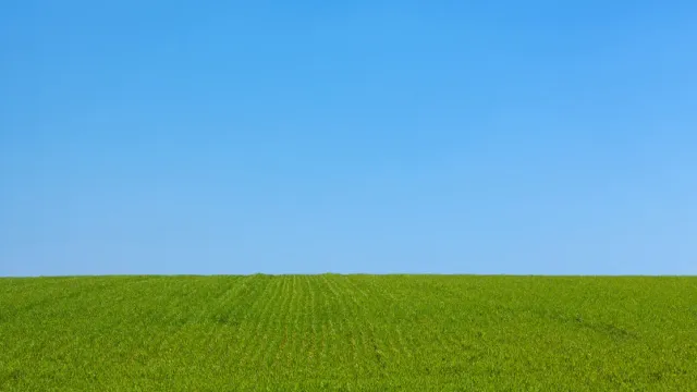 បានស្រឡាញ់យើង