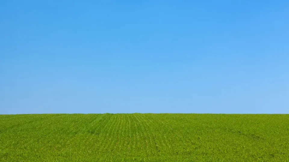 បានស្រឡាញ់យើង