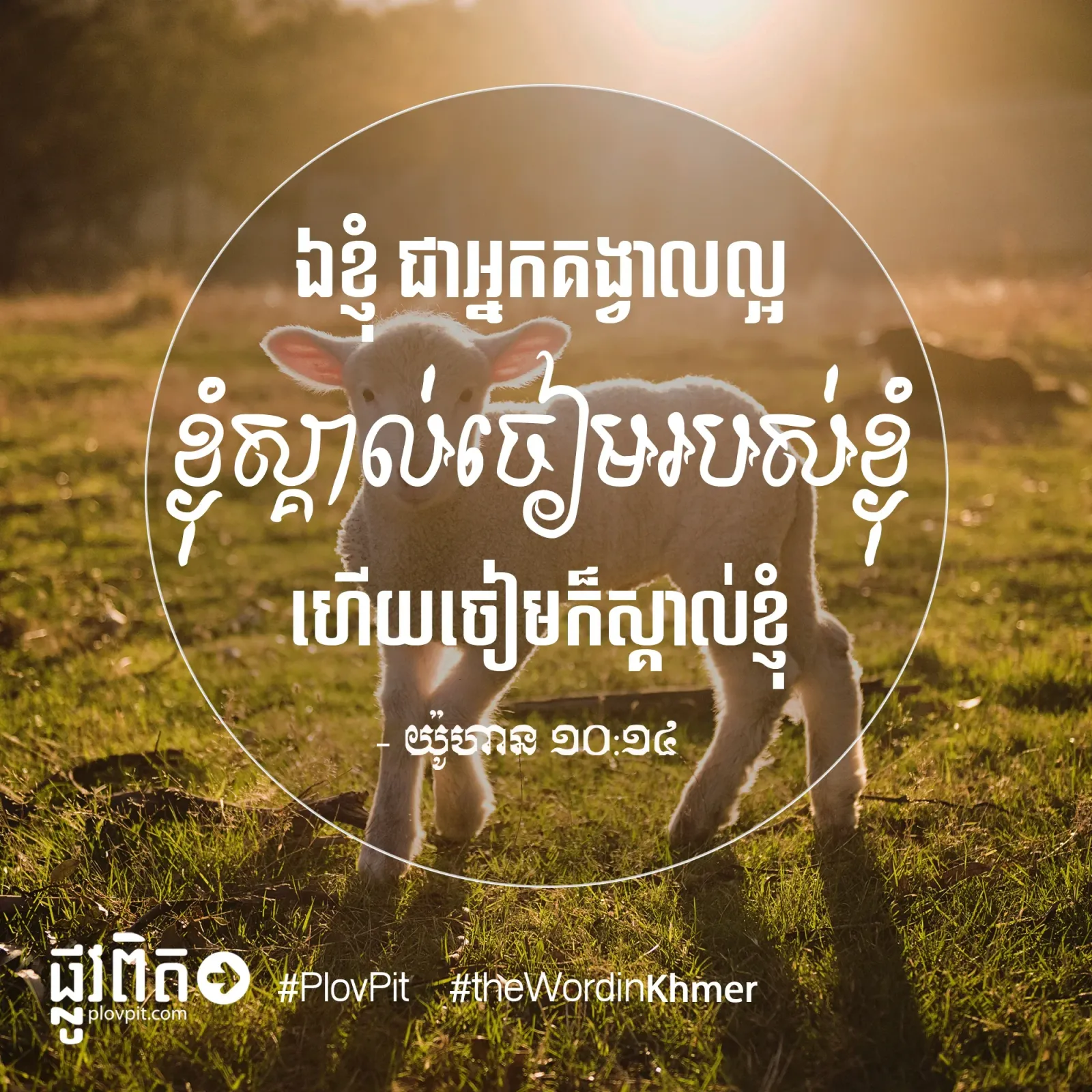 ឯខ្ញុំ ជាអ្នកគង្វាលល្អ