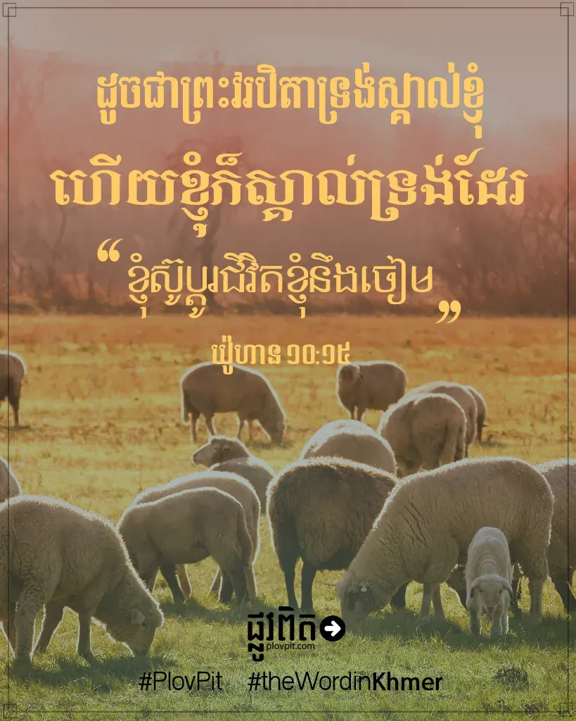 ខ្ញុំ​ស៊ូ​ប្តូរ​ជីវិត​ខ្ញុំ​នឹង​ចៀម