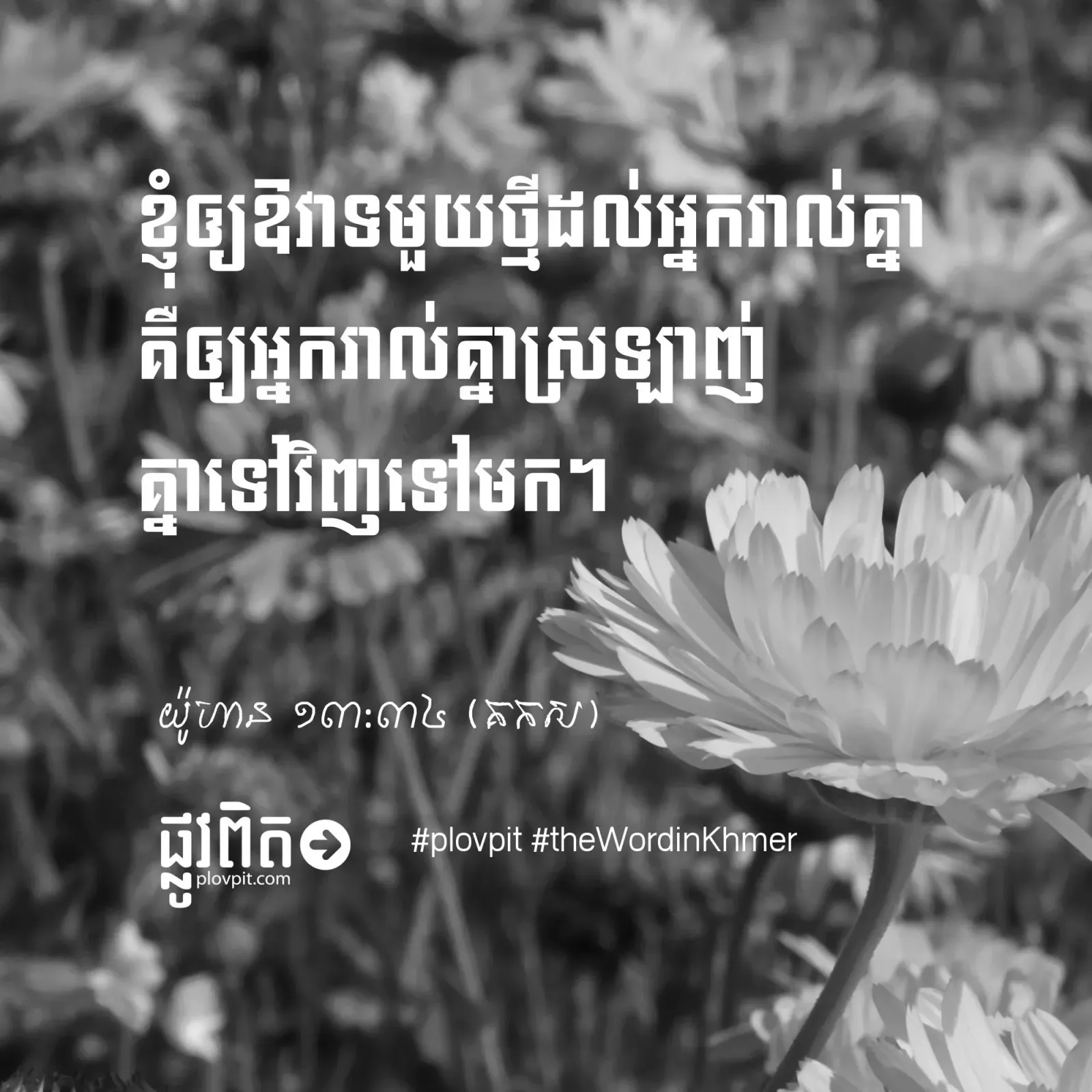 តើឱវាទថ្មីមួយដែលព្រះយេស៊ូវផ្ដល់ឲ្យយើងគឺអ្វី?