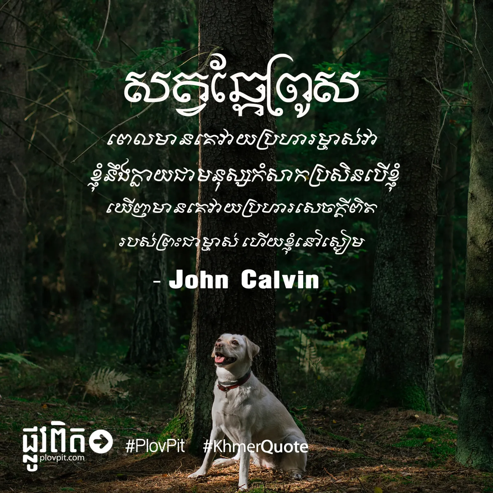 ក្លាយ​ជា​មនុស្ស​កំសាក