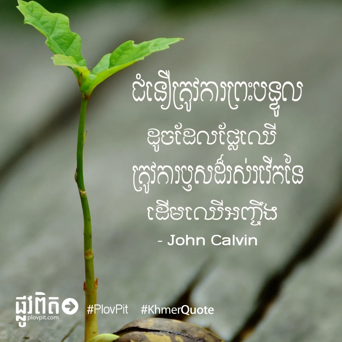 ជំនឿនិងព្រះបន្ទូល