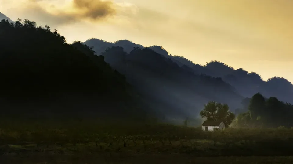 គ្រប់​លក្ខណ៍