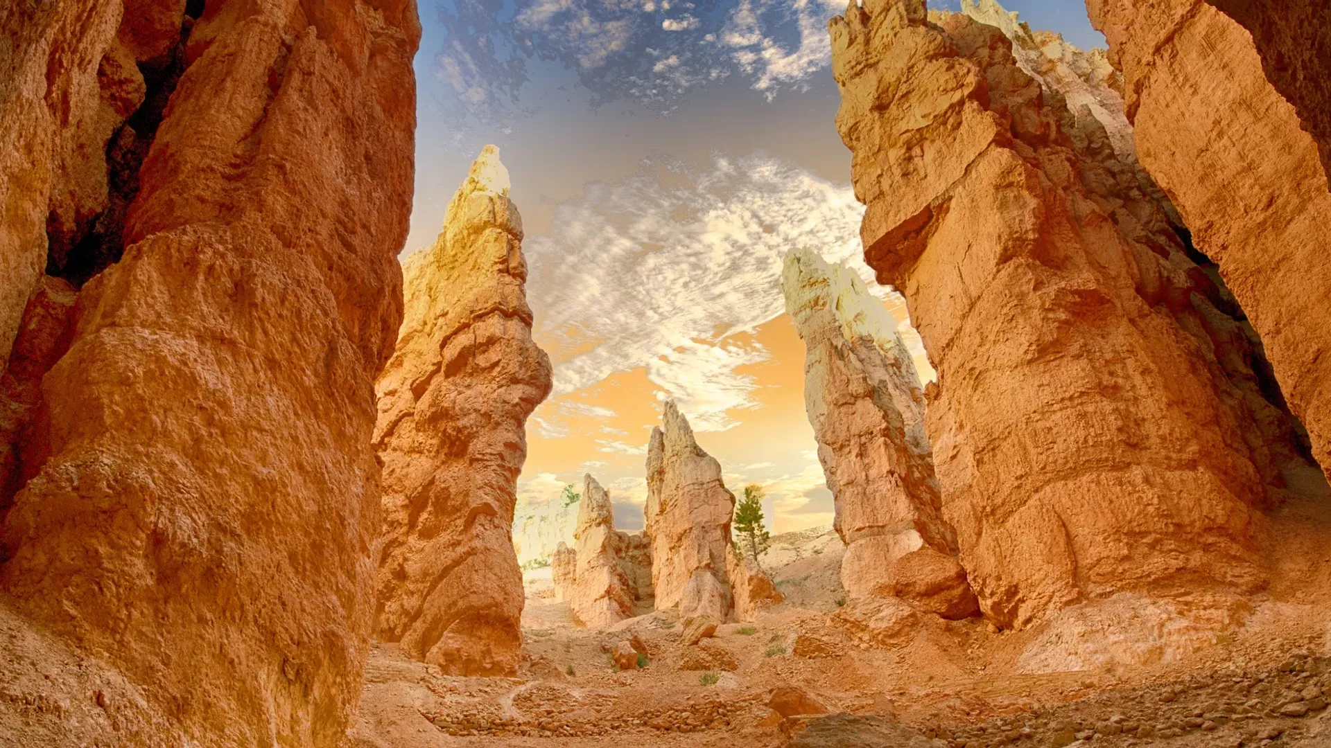 ដួងចិត្តរបស់លោកអ្នកឧបក្រសោប