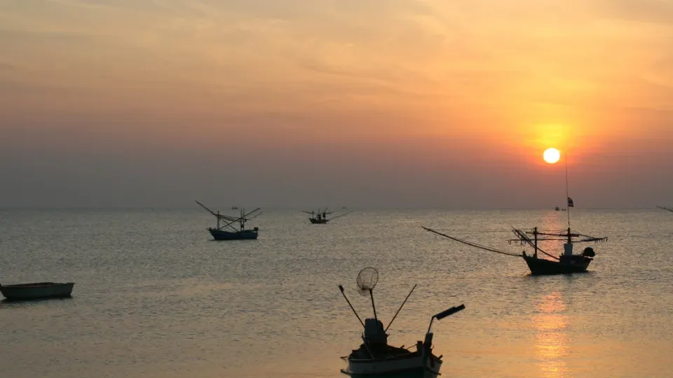 មកបម្រើ​គេវិញ