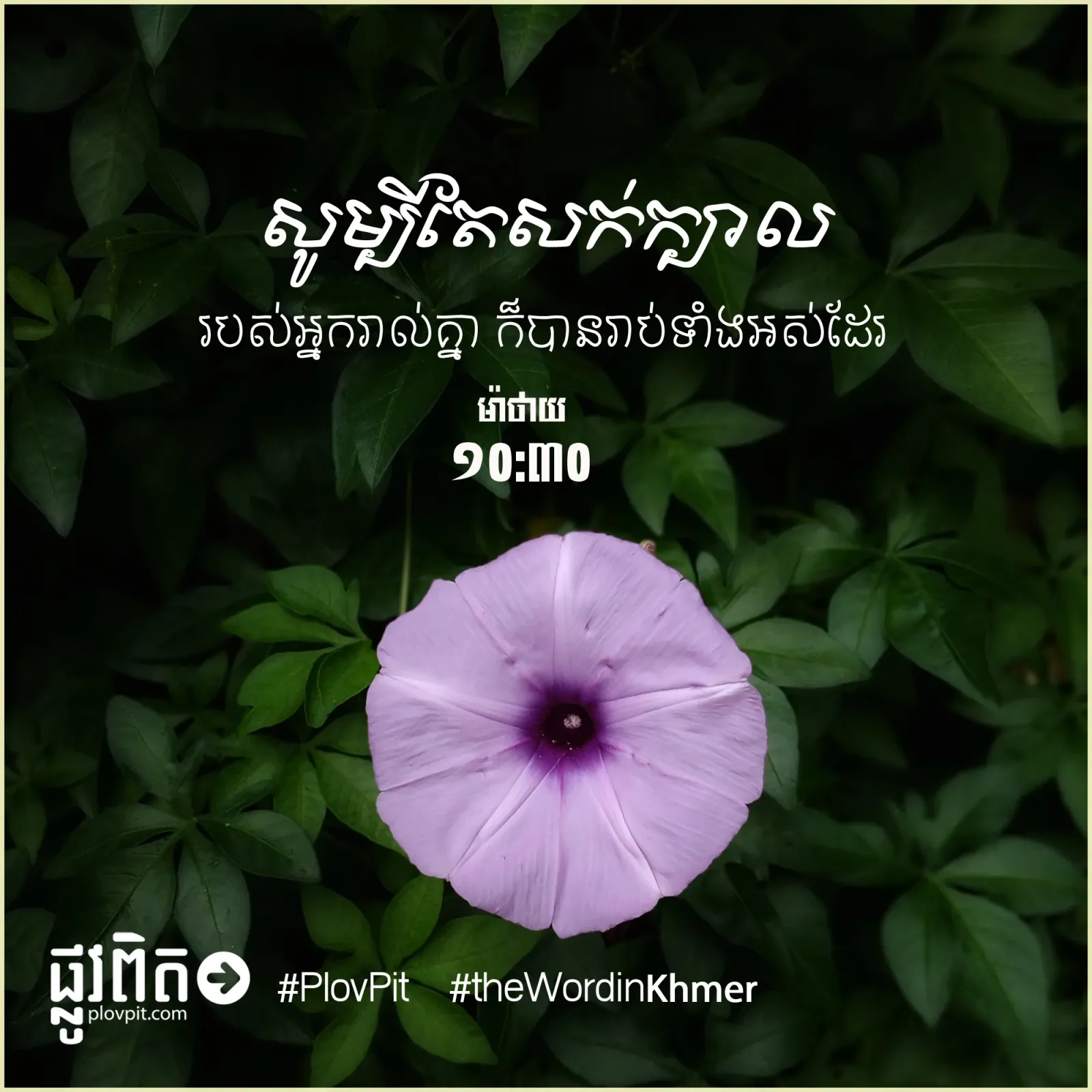 សូម្បីតែសក់ក្បាល
