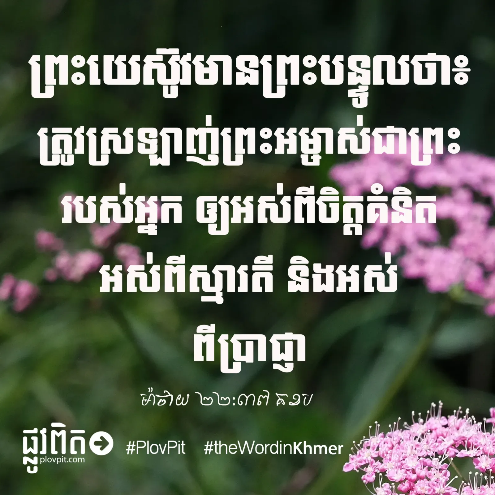 ត្រូវ​ស្រឡាញ់