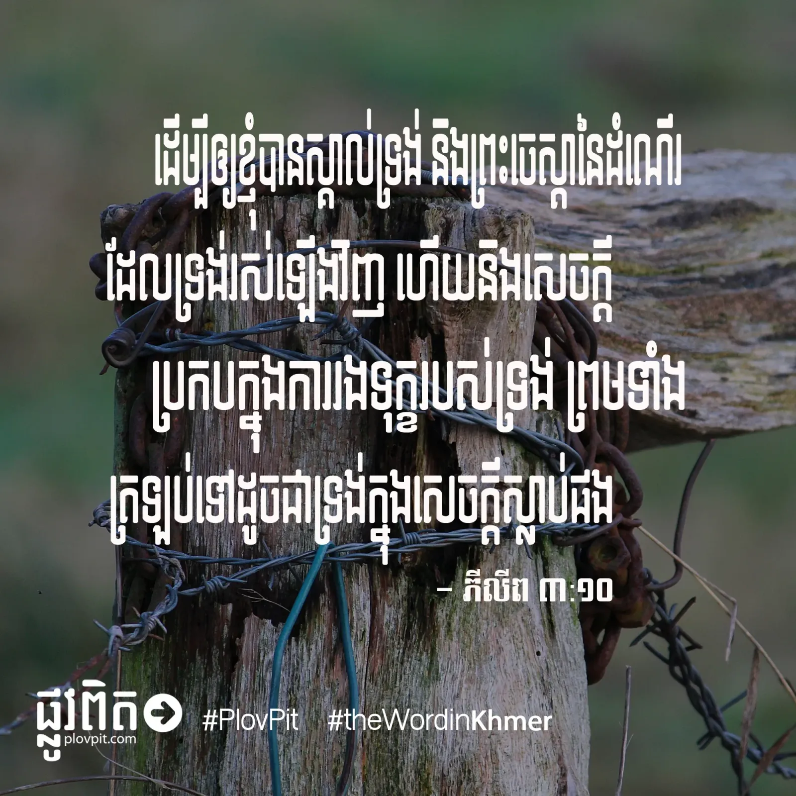 ប្រកបការរងទុក្ខ