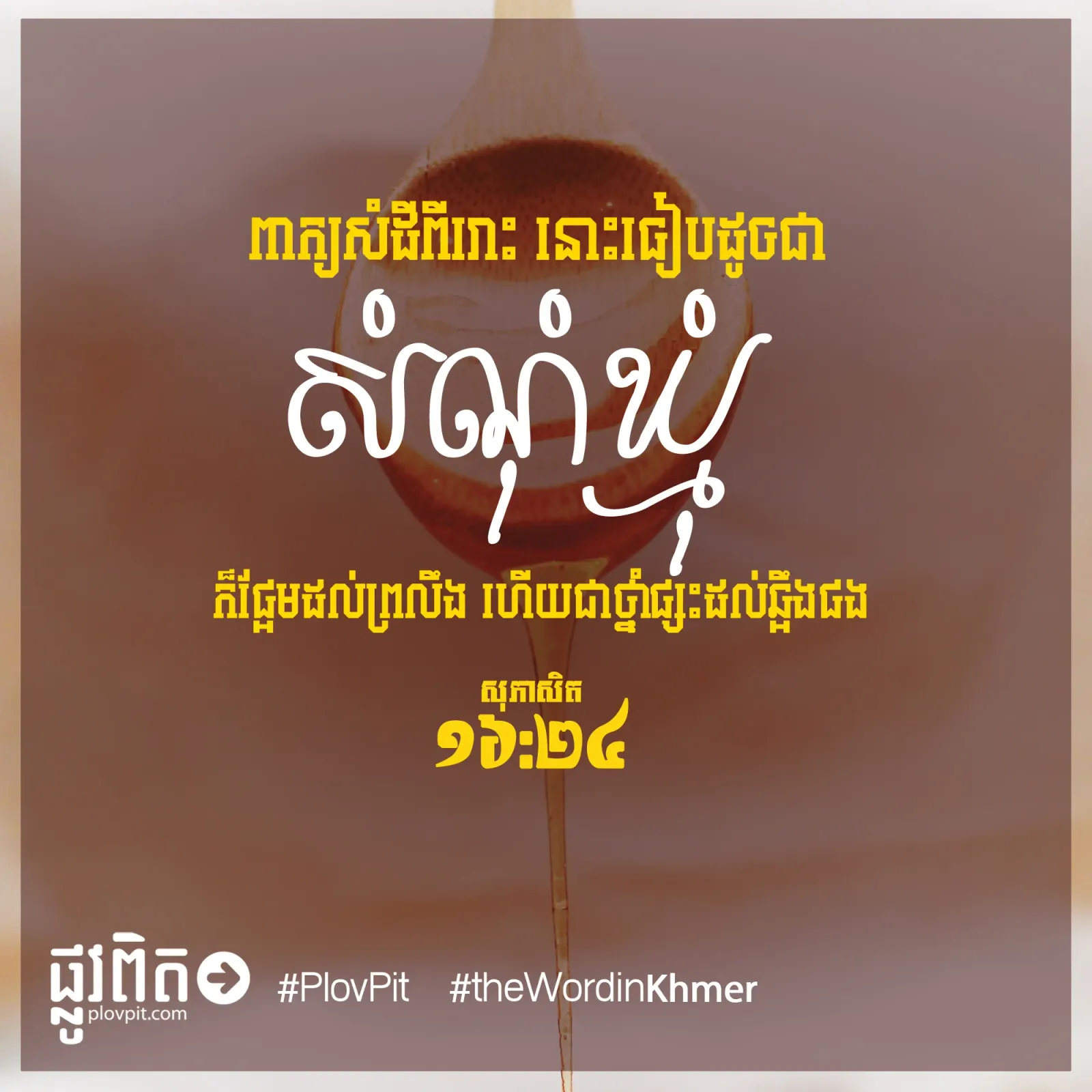 ដូចជាសំណុំឃ្មុំ