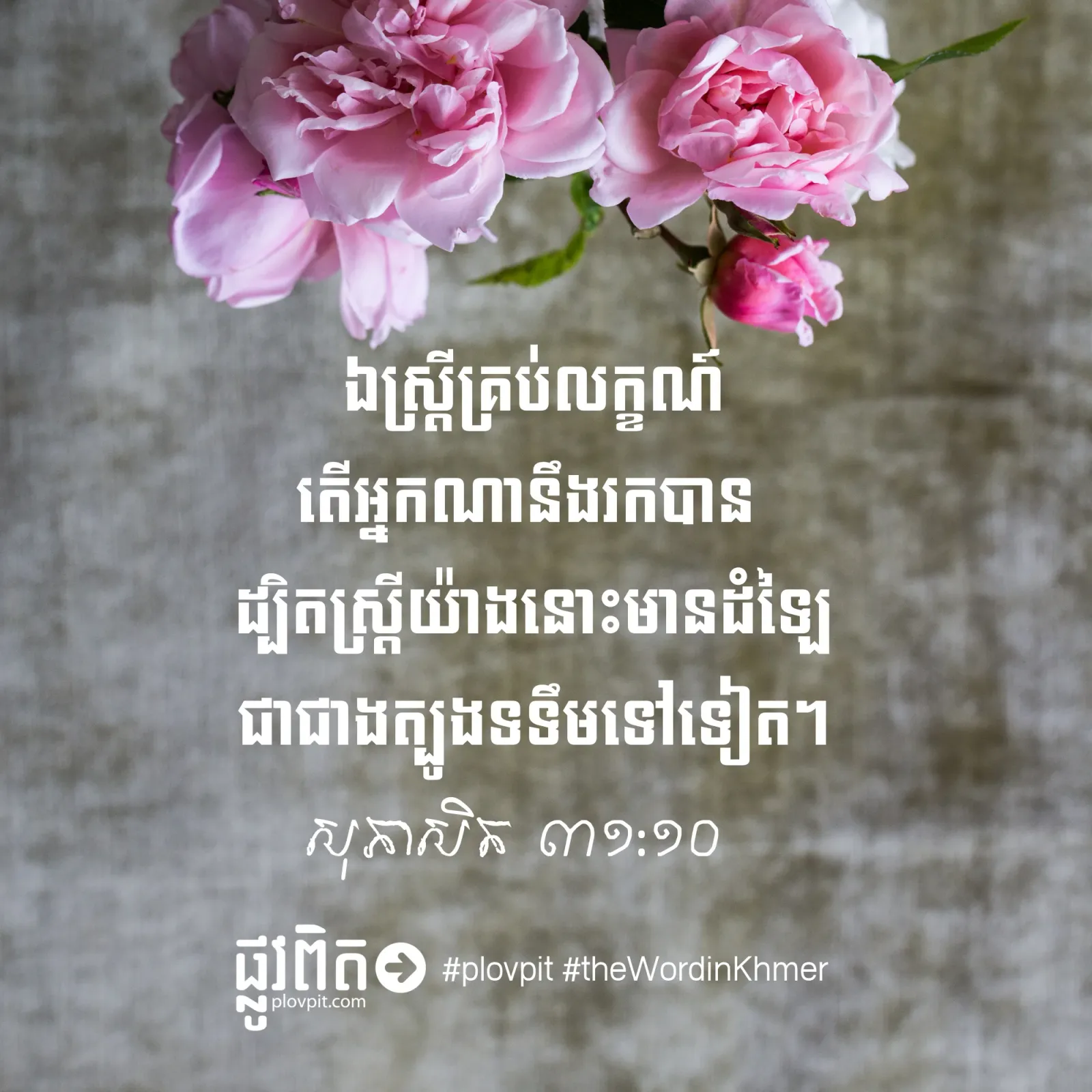 តើ​ស្ត្រី​គ្រប់លក្ខណ៍​ប្រៀប​ដូច​ជា​អ្វី?