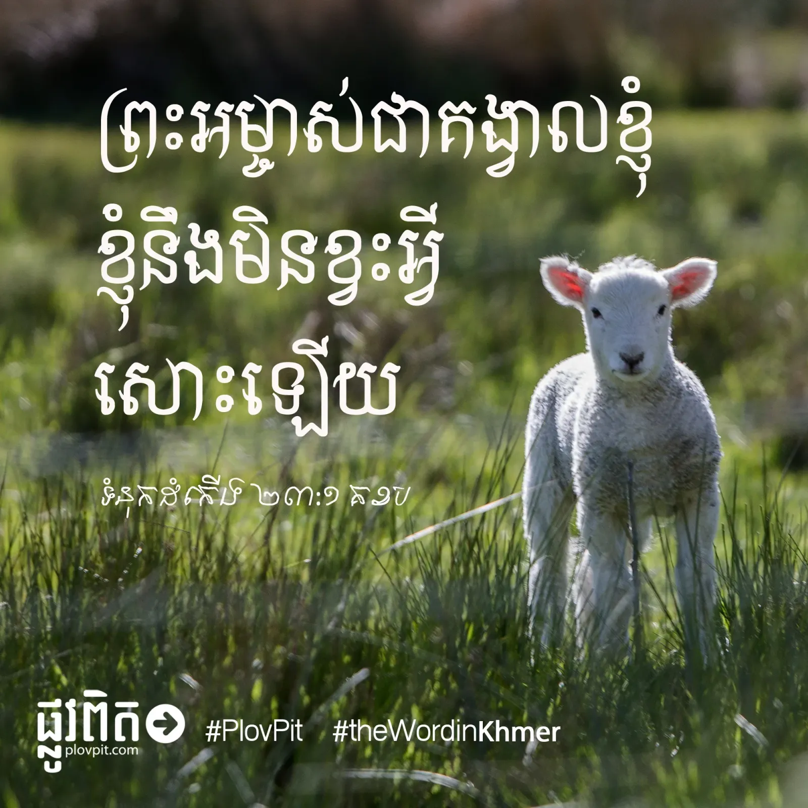 អ្នកគង្វាល