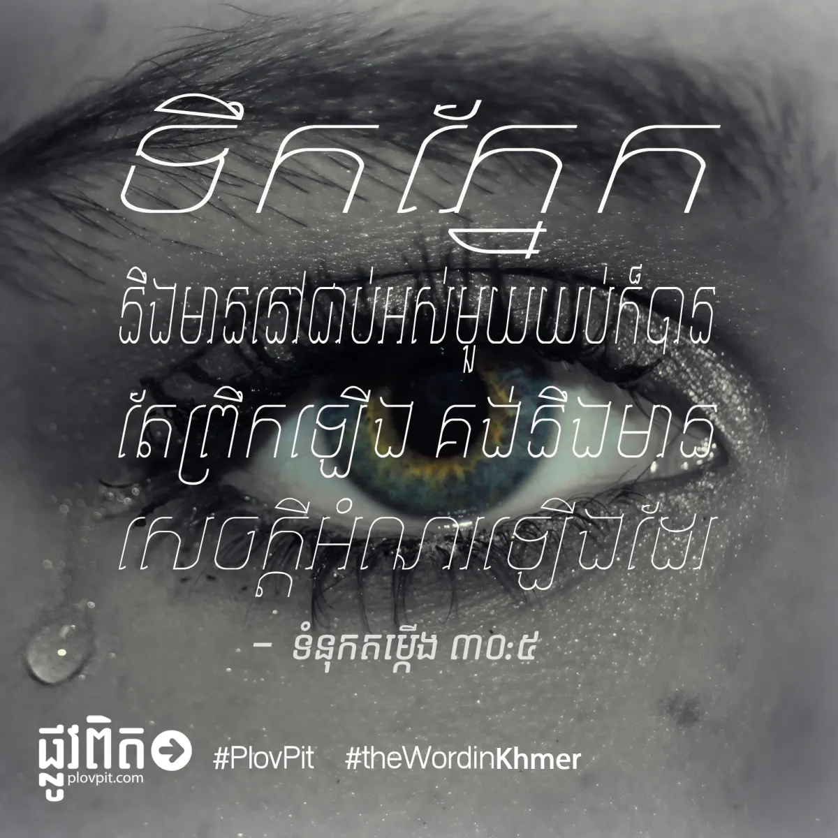 ទឹកភ្នែក