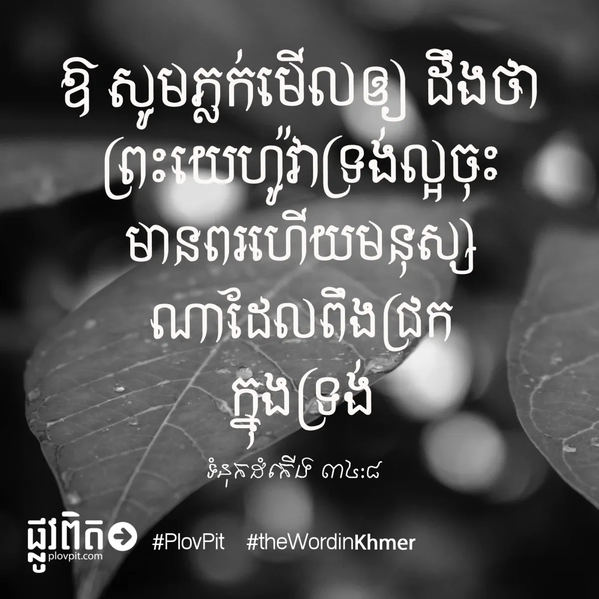 សូមភ្លក់