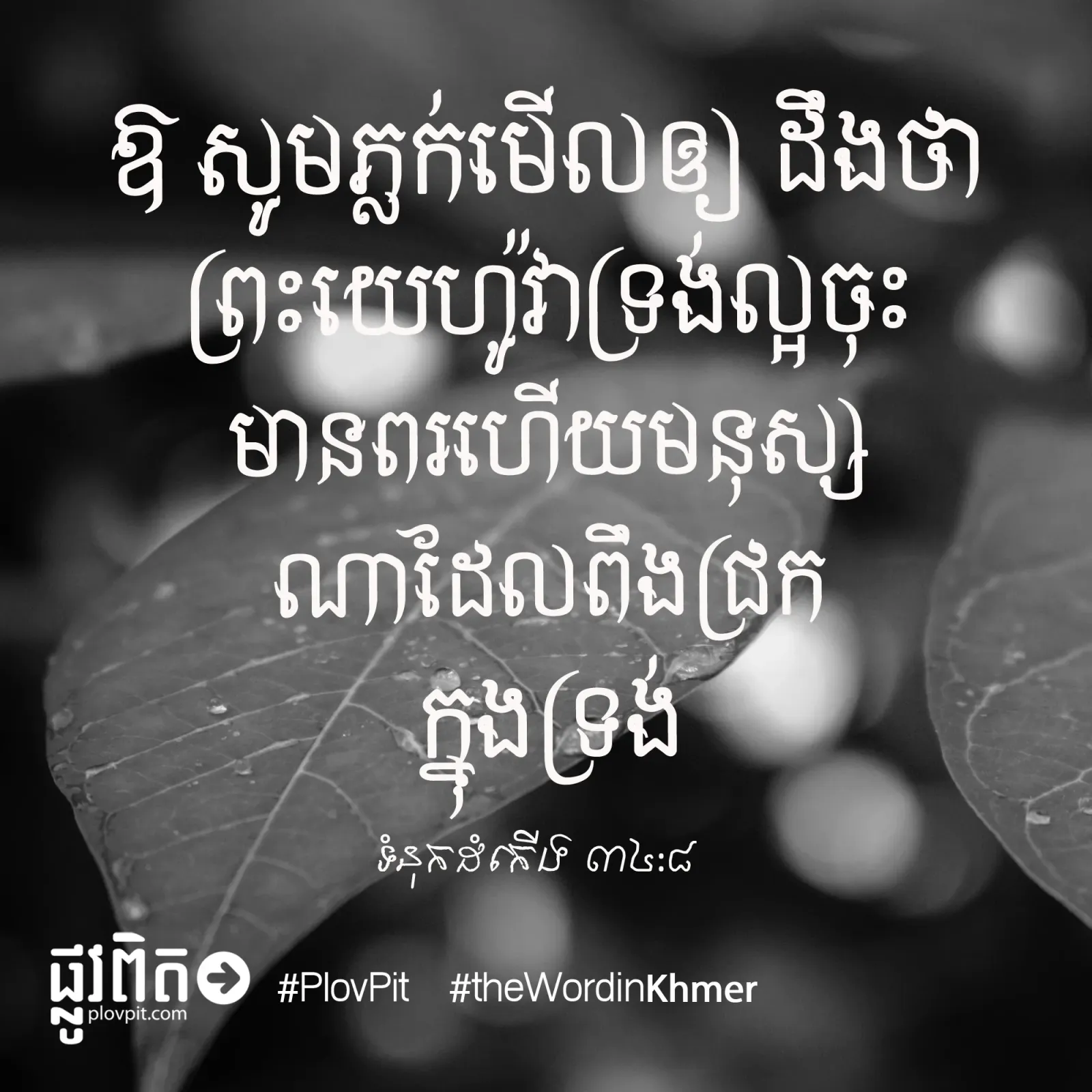 សូម​ភ្លក់