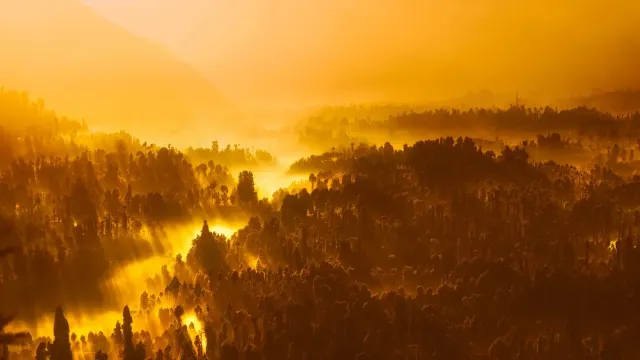 ខ្ពស់បំផុត
