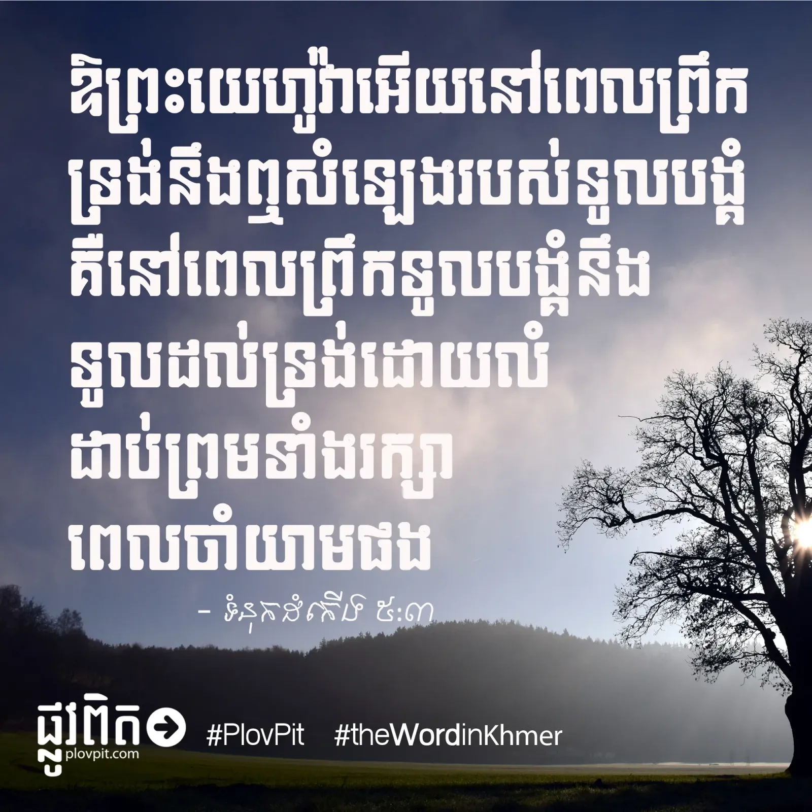 แแแแแโแแนแโแฎ