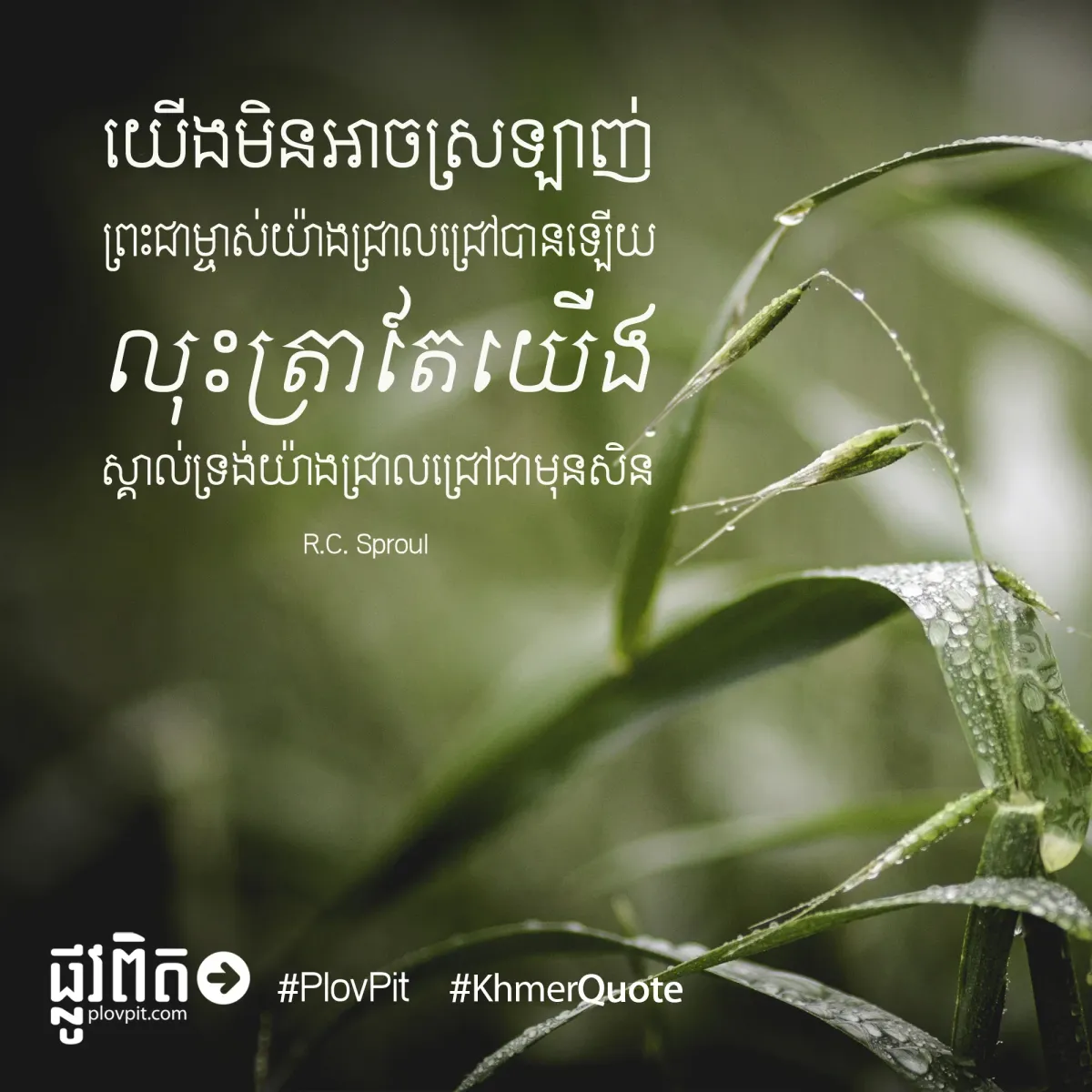 យើងមិនអាចស្រឡាញ់
