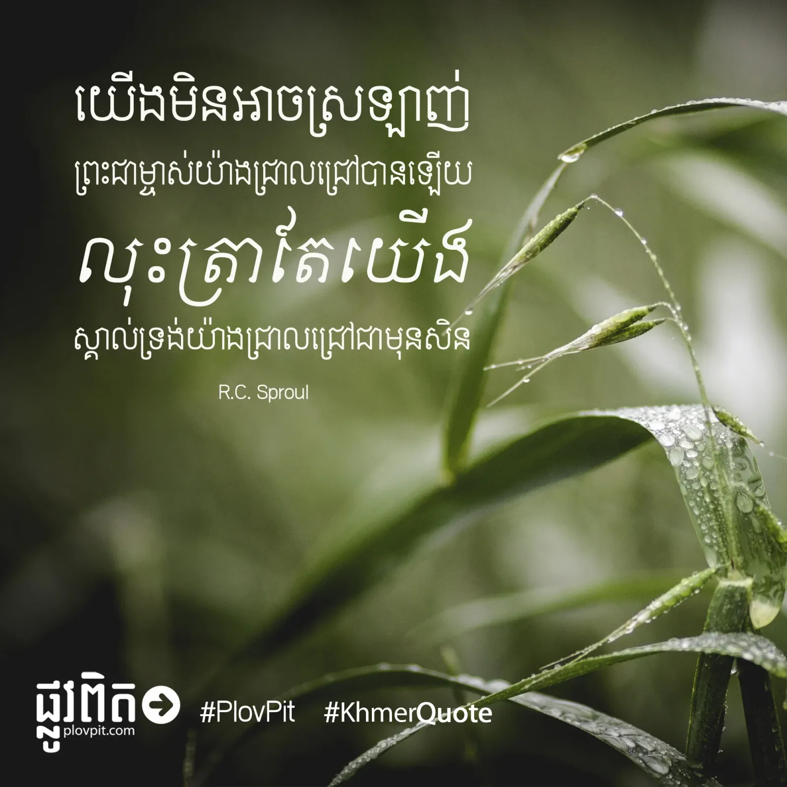 យើងមិនអាចស្រឡាញ់