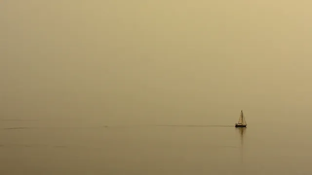 តែមួួយគត់