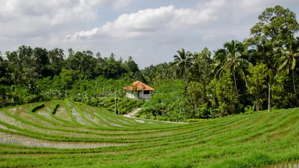 រាល់​តម្រូវការ